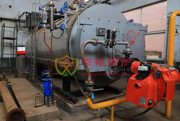 WNS series gas boiler